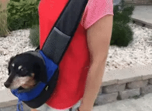 Pet Dog Sling Carrier Panda Color Breathable Mesh Travel Safe Sling Bag Carrier for Dogs Cats Accessories