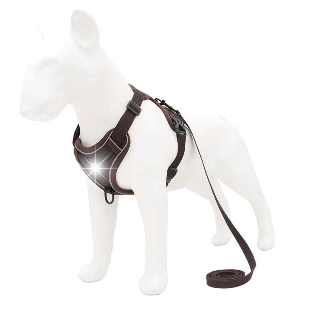 NO PULL HARNESS AND LEASH SET