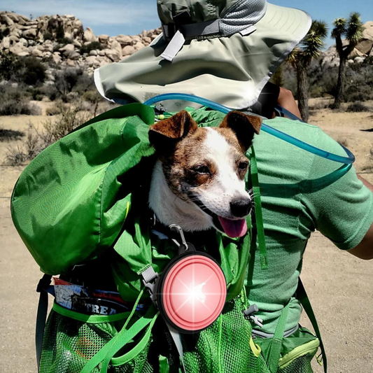 FOLDING SILICONE PET TRAVEL BOWL
