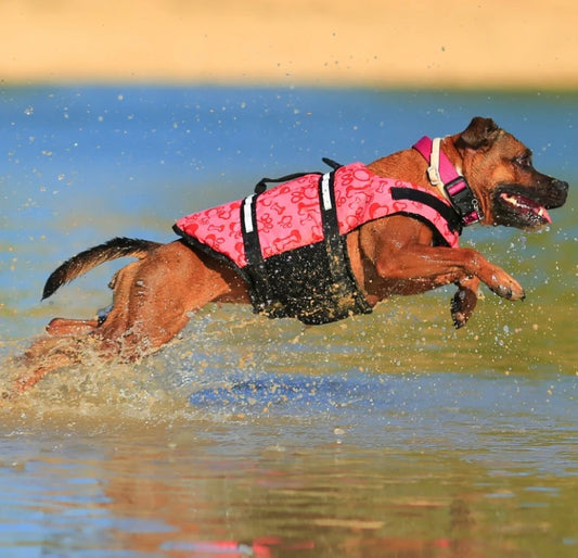 PAW PRINTS DOG LIFE JACKET