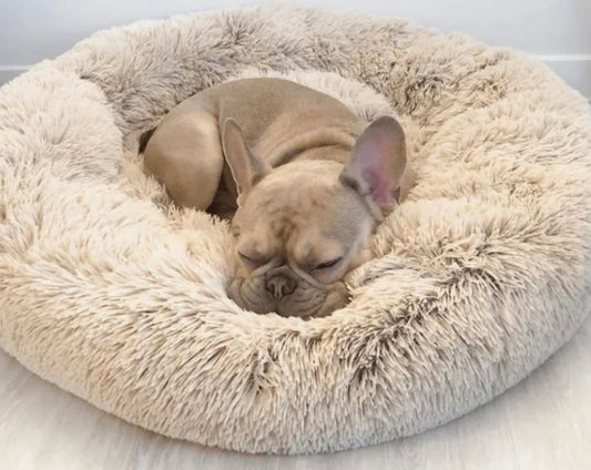 CALMING PET BED