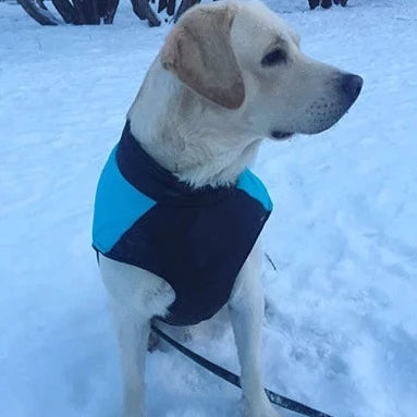 THE OFF TRAIL WATERPROOF DOG WINTER JACKET