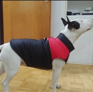 THE OFF TRAIL WATERPROOF DOG WINTER JACKET