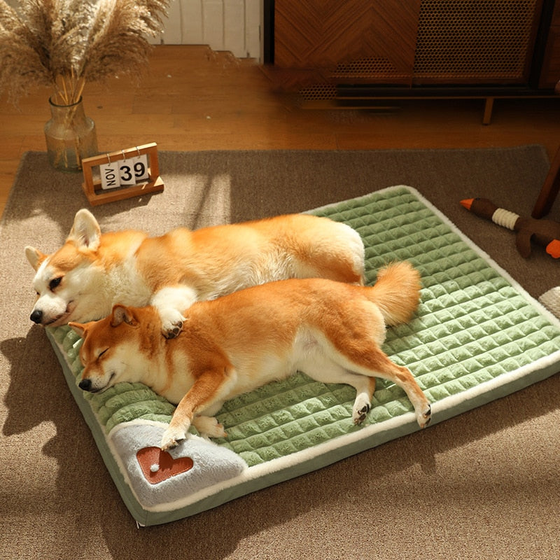 The posh dog bed company discount
