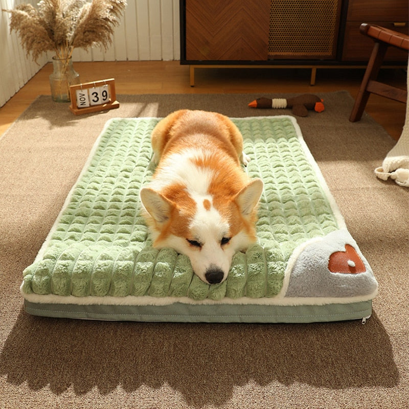 The posh dog bed company discount