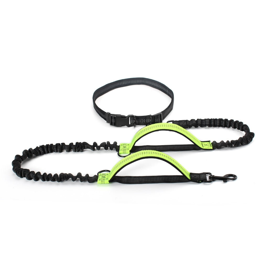 HANDS FREE BUNGEE DOG LEASH
