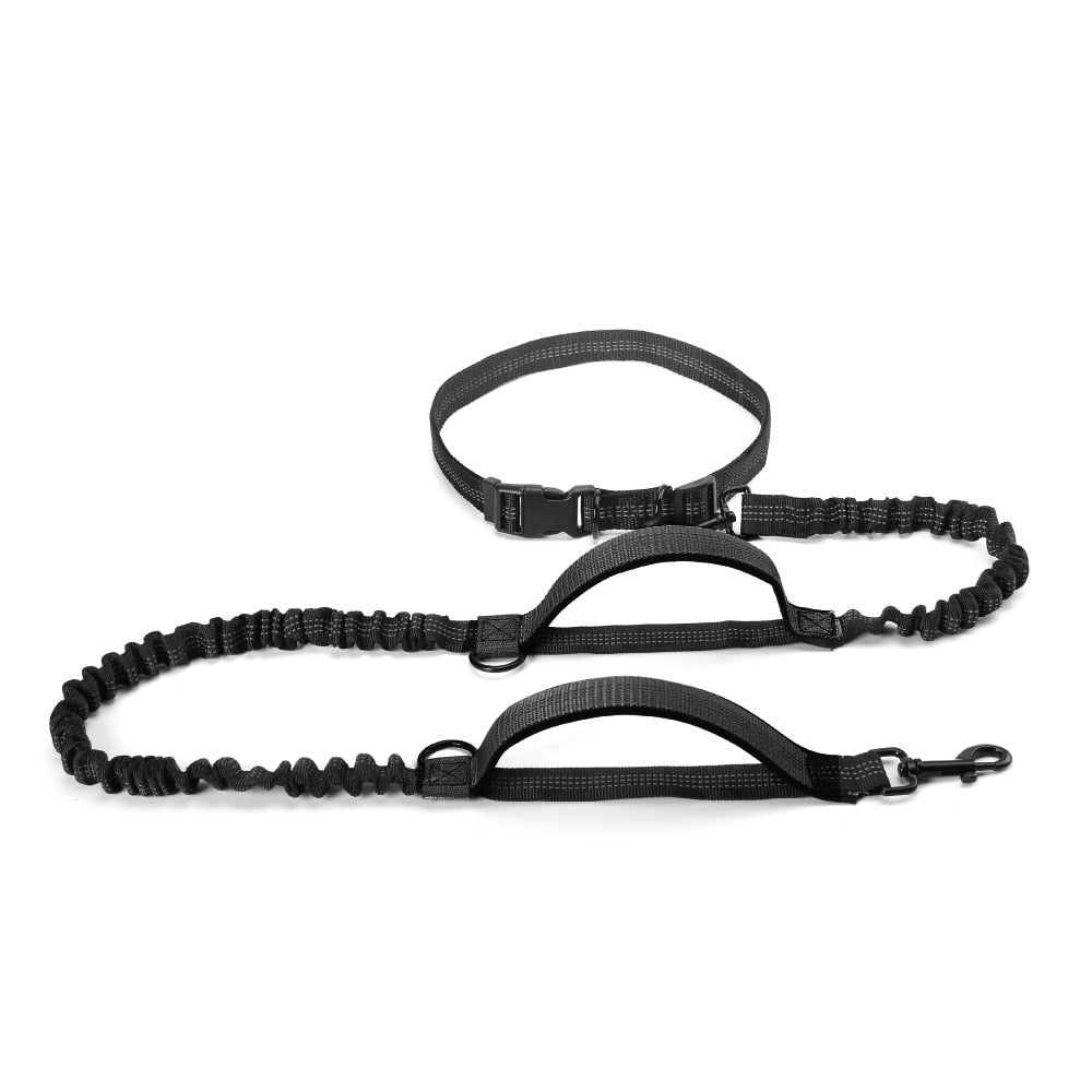 HANDS FREE BUNGEE DOG LEASH