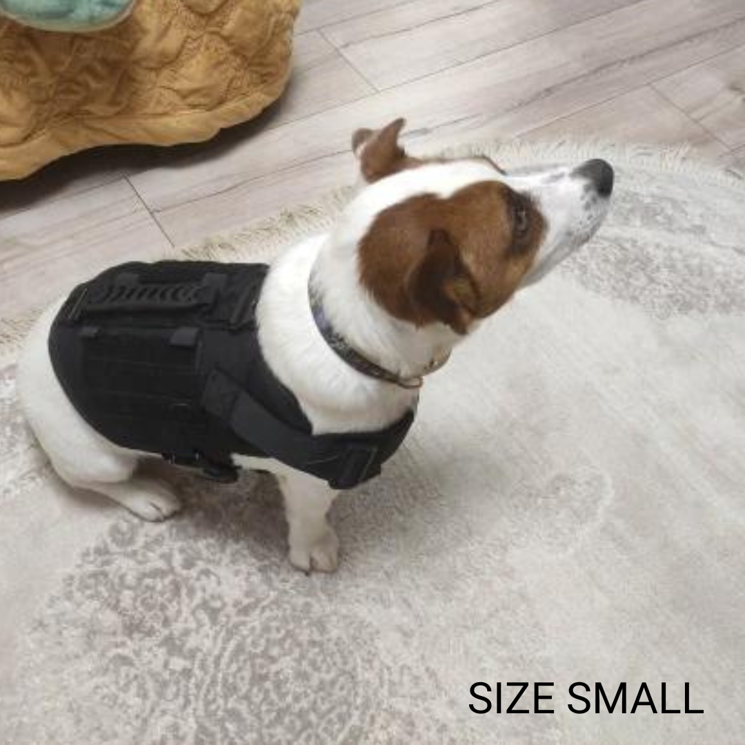 MILITARY NO-PULL HARNESS WITH LEASH SET