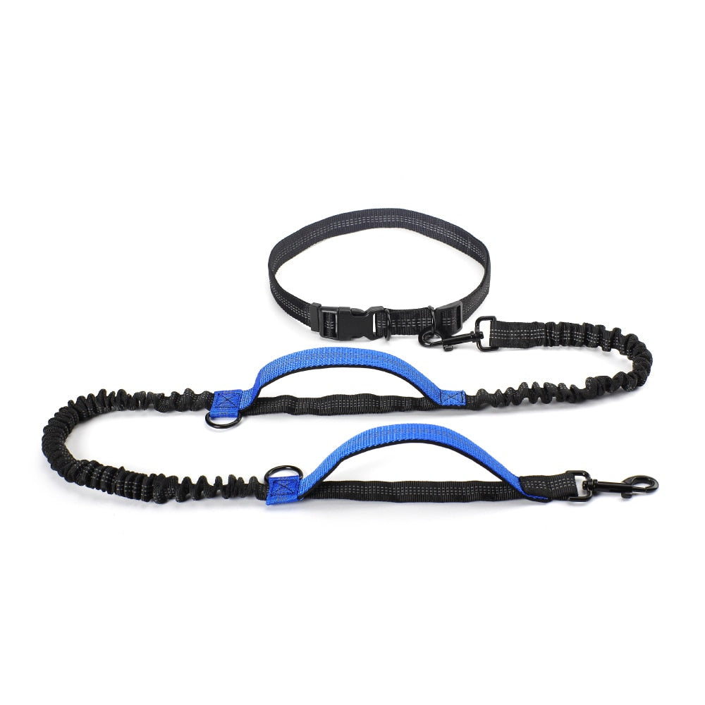 HANDS FREE BUNGEE DOG LEASH