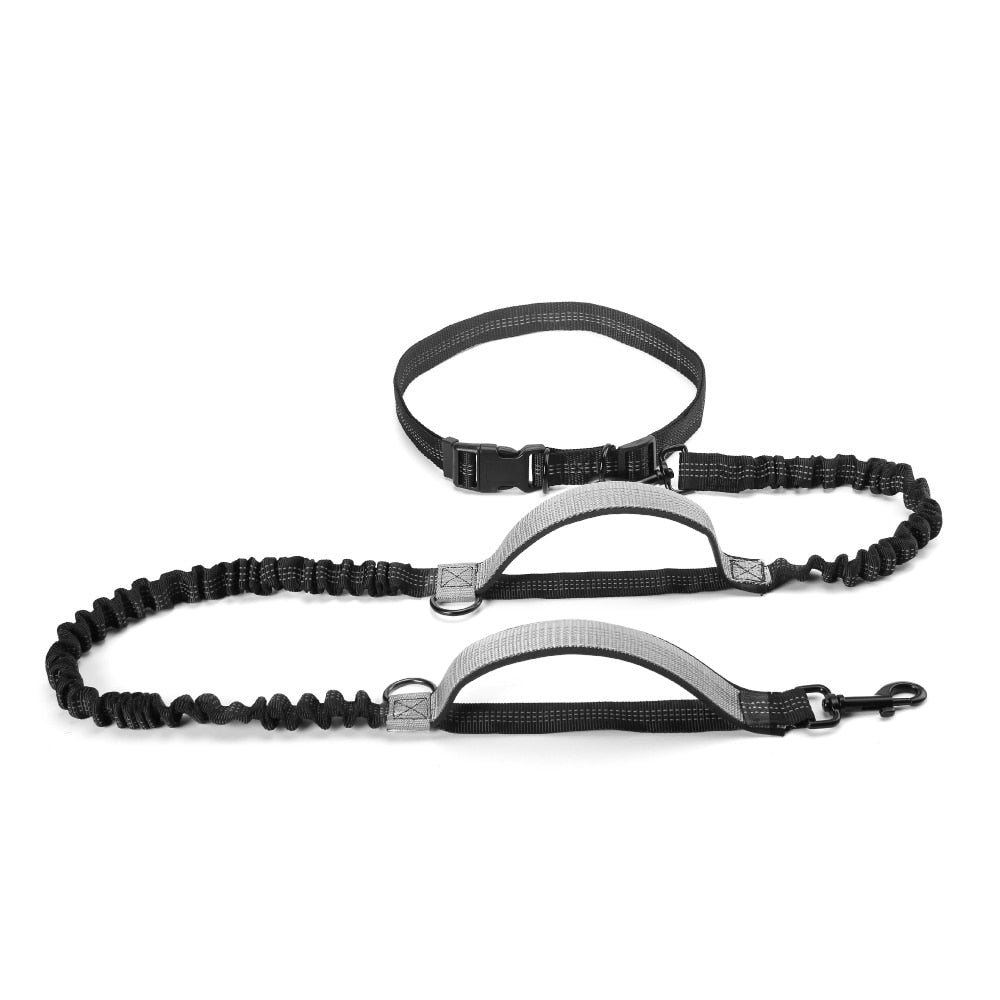HANDS FREE BUNGEE DOG LEASH