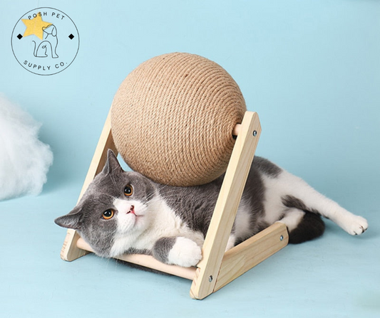 CAT SCRATCHING BALL TOY