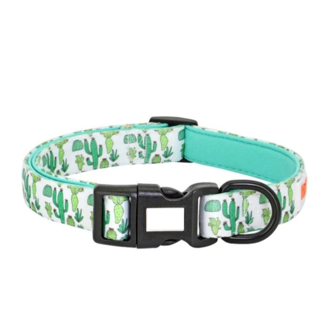 THE ROYAL TRAVELER COLLAR COLLECTION