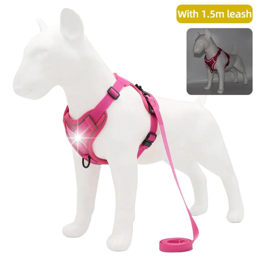 NO PULL HARNESS AND LEASH SET