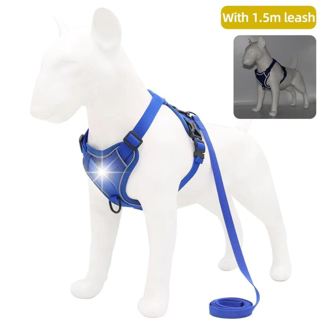 NO PULL HARNESS AND LEASH SET