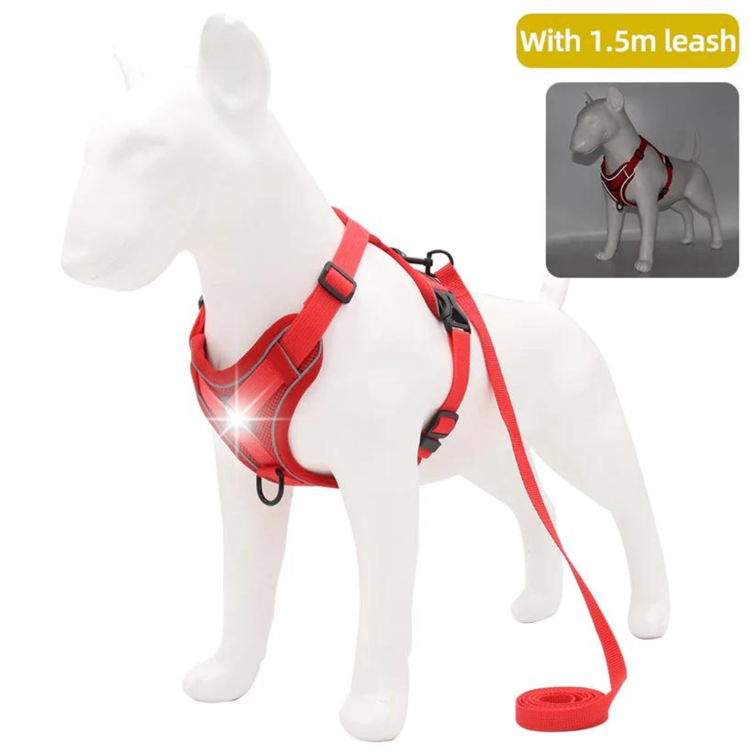 NO PULL HARNESS AND LEASH SET