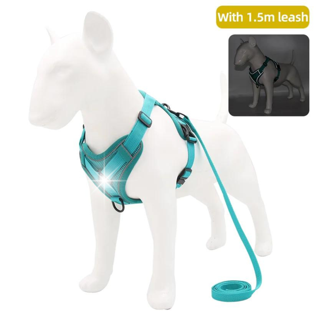 NO PULL HARNESS AND LEASH SET