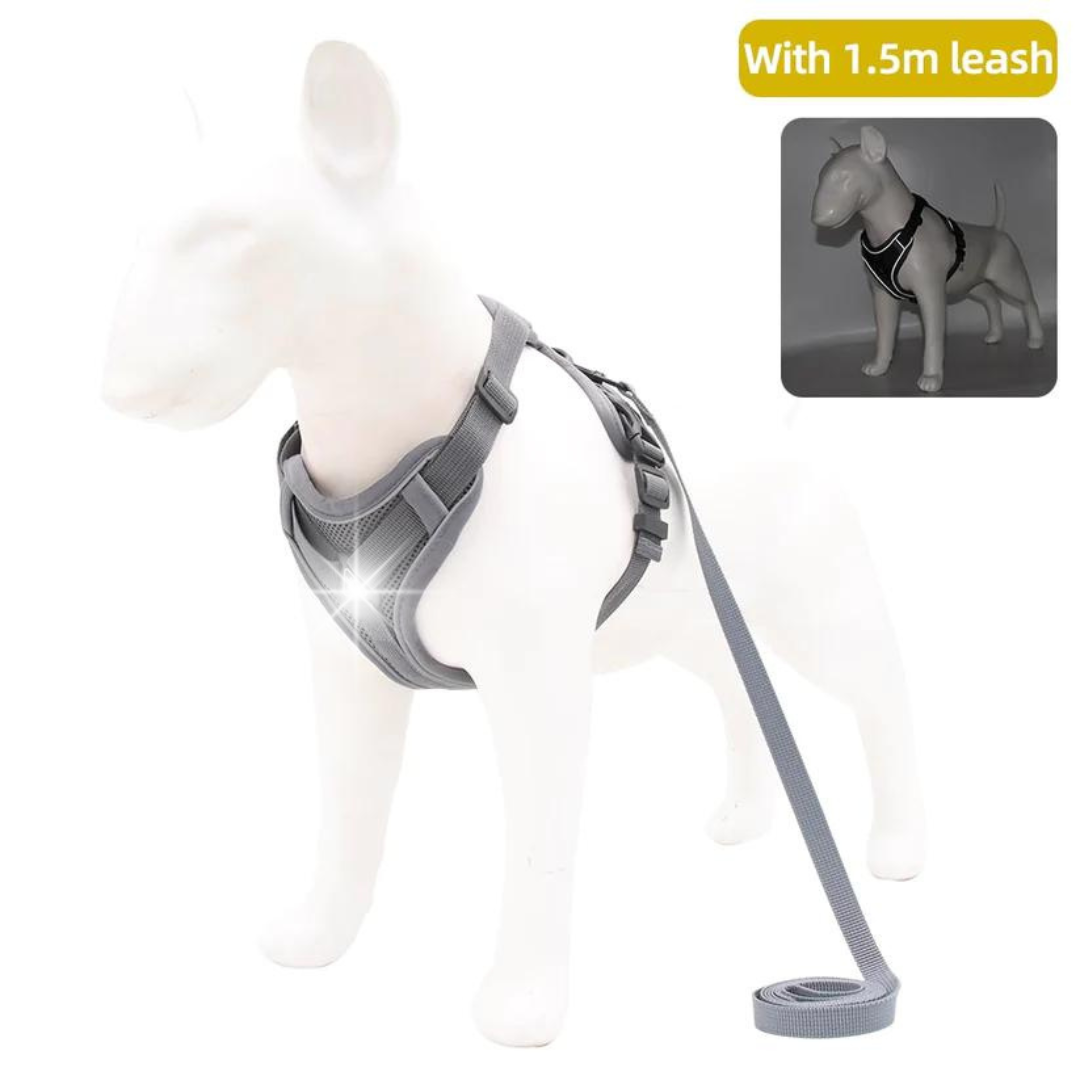 NO PULL HARNESS AND LEASH SET