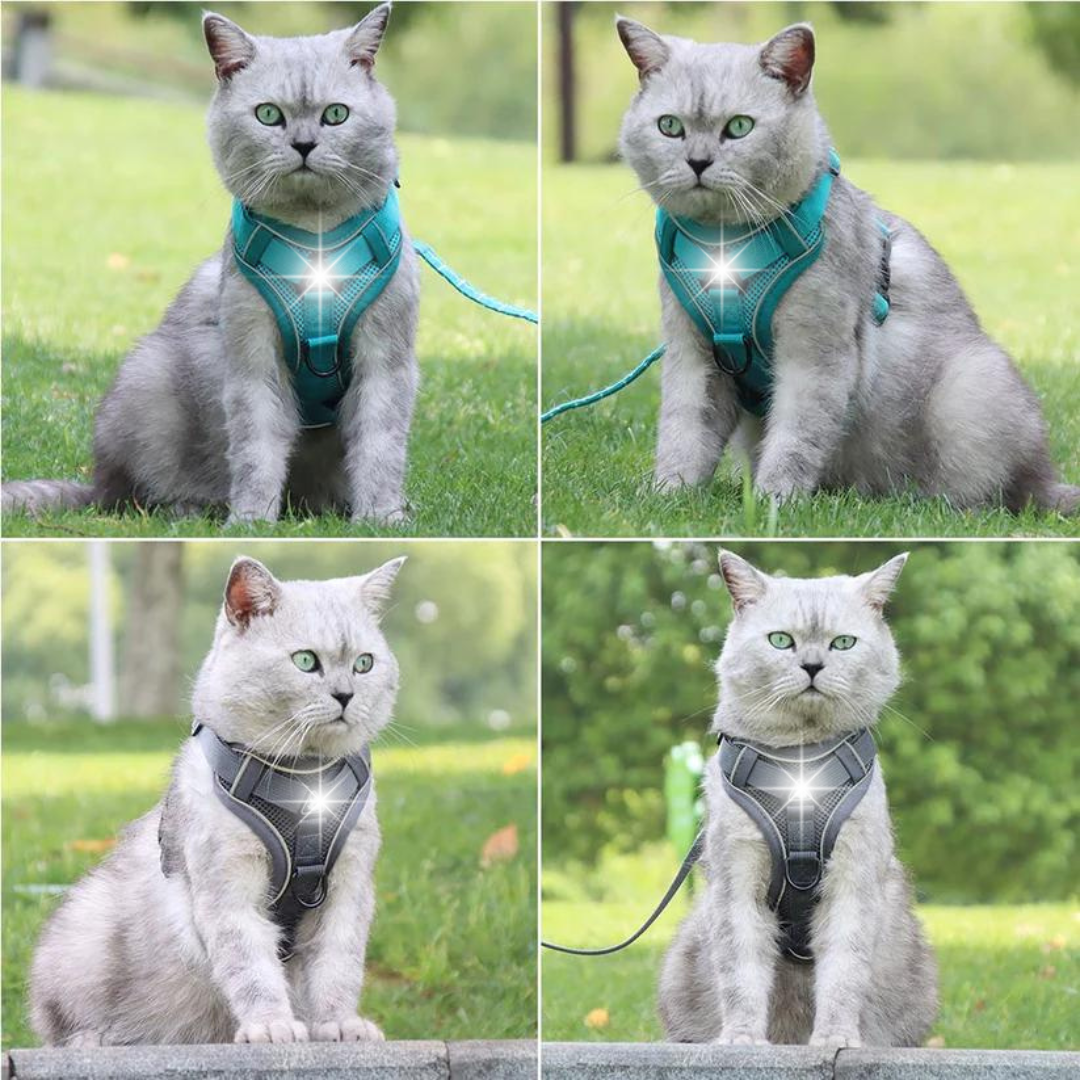 NO PULL HARNESS AND LEASH SET