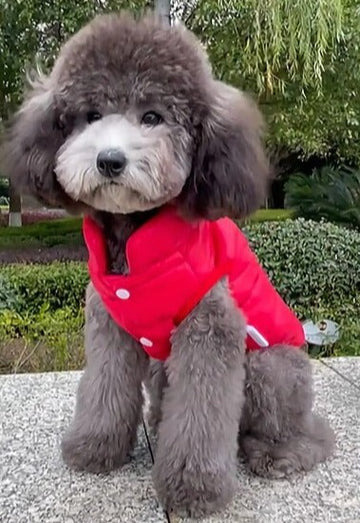 THE DAPPER DOG PUFFER JACKET