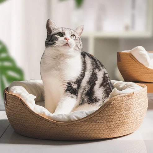 HANDWOVEN BAMBOO COZY BED Posh Pet Supply Co