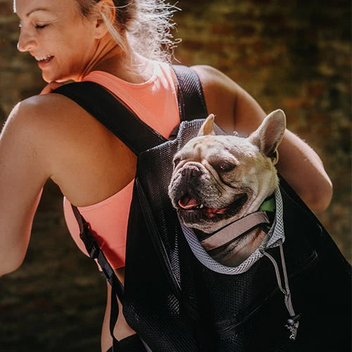 POSH PET DOGO BACKPACK