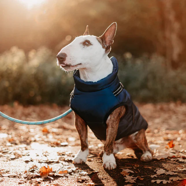 THE EXPLORER WATERPROOF COLD WEATHER JACKET