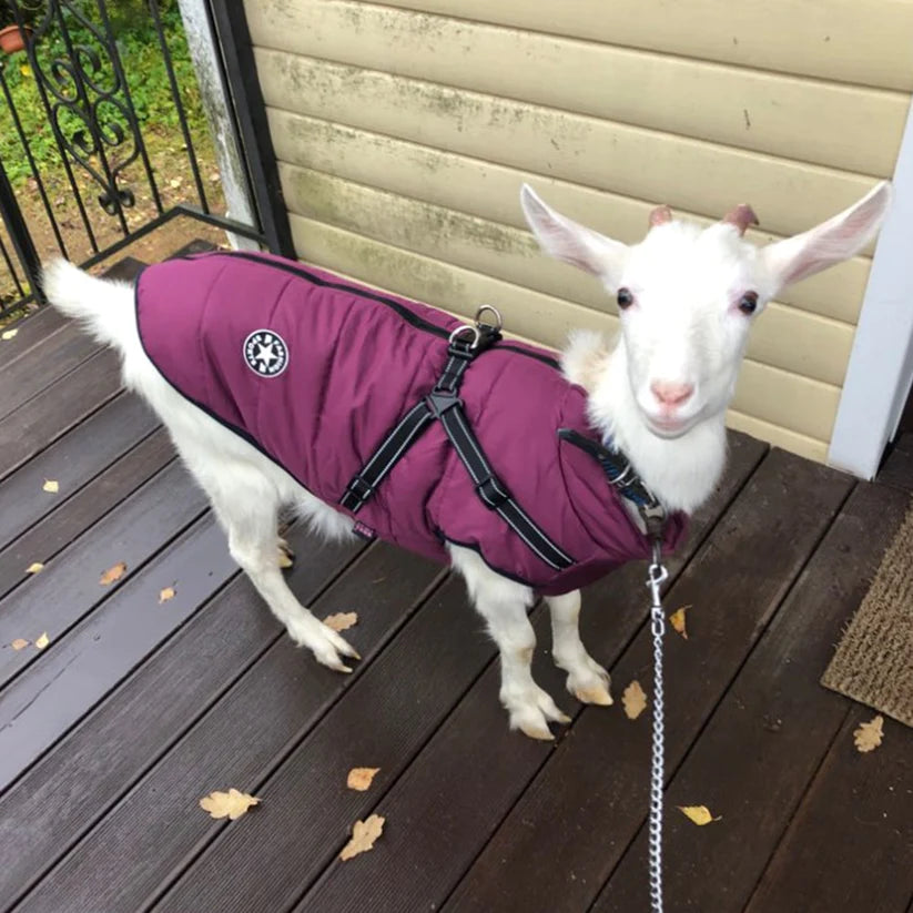 THE EXPLORER WATERPROOF COLD WEATHER JACKET