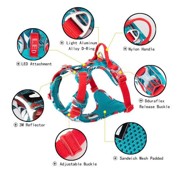 NO-PULL 3M REFLECTIVE FLORAL HARNESS COLLECTION